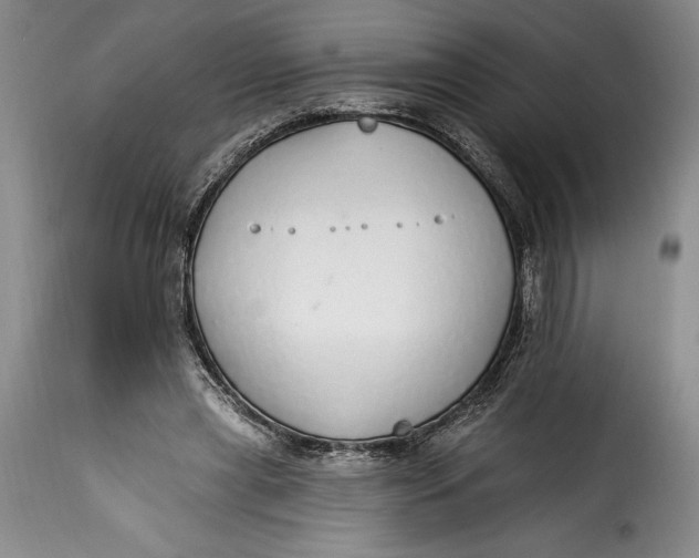 X0000115360445200911241220