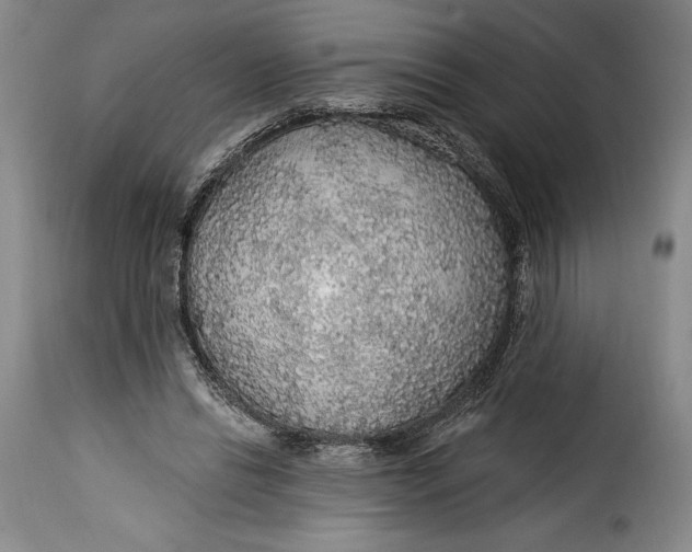 X0000115360446200911241220