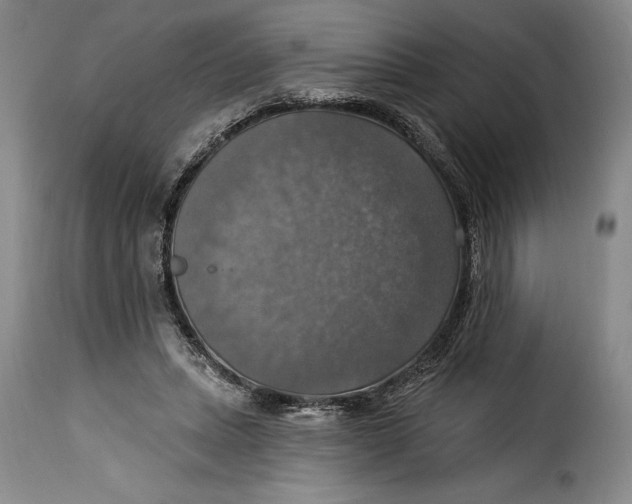 X0000115360447200911241220