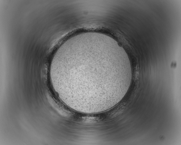 X0000115360448200911241220