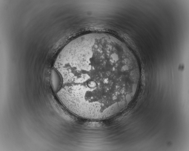 X0000115360449200911241220