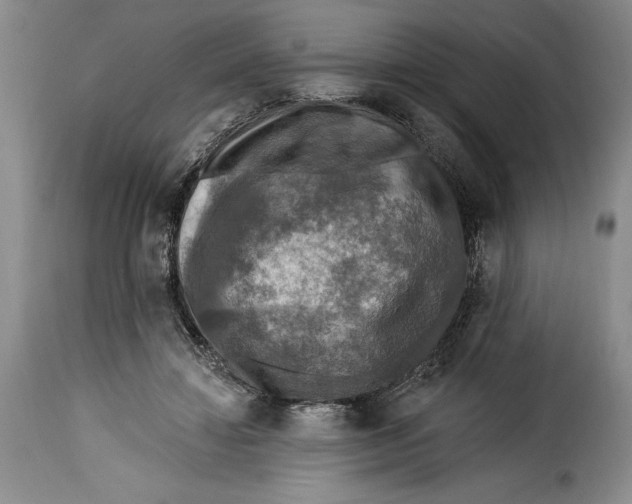 X0000115360452200911241220