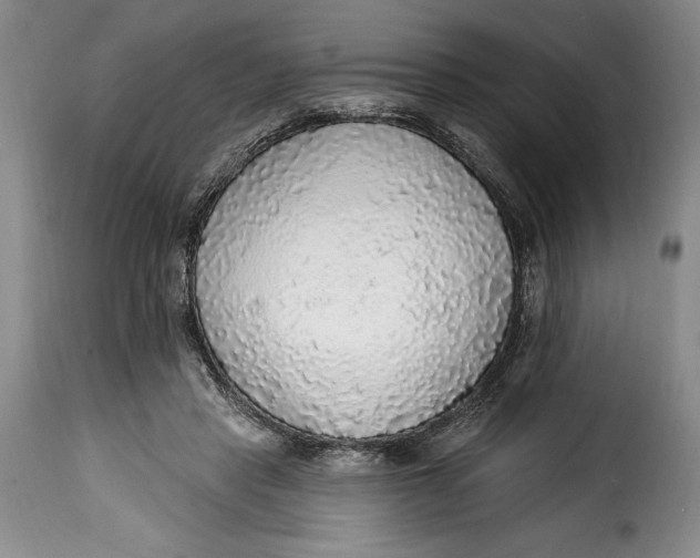 X0000115360453200911241220