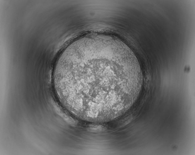 X0000115360454200911241220