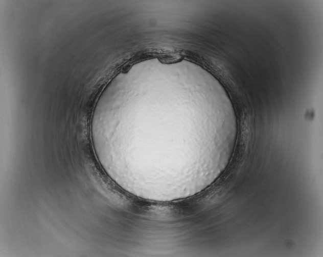 X0000115360457200911241220