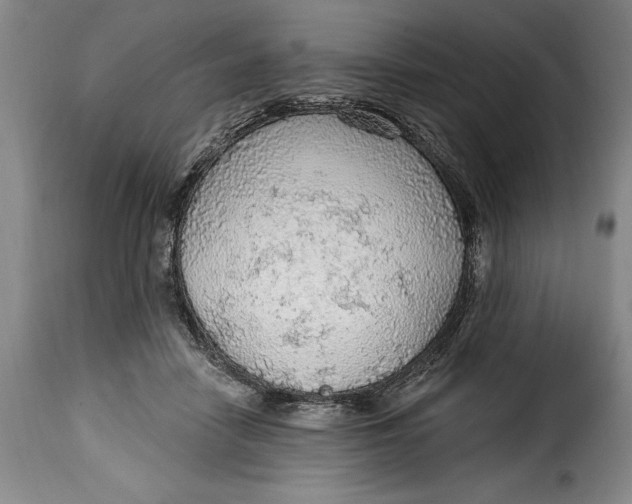 X0000115360458200911241220