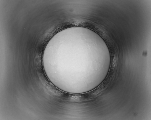 X0000115360461200911241220