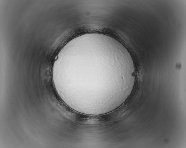 X0000115360462200911241221