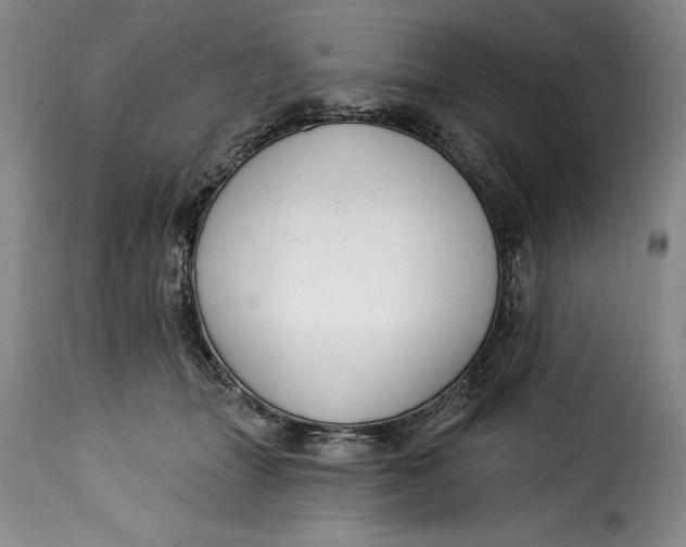 X0000115360463200911241221