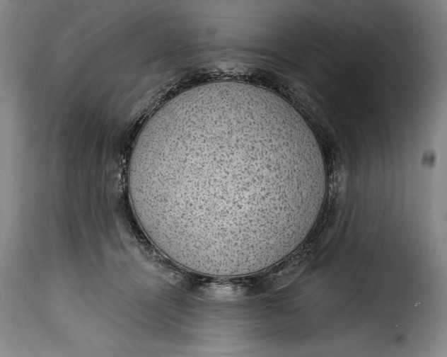 X0000115360464200911241221