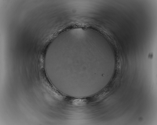 X0000115360465200911241221