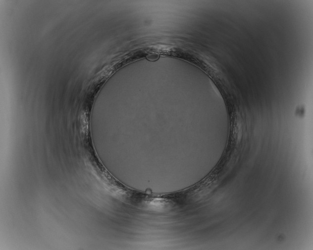 X0000115360467200911241221