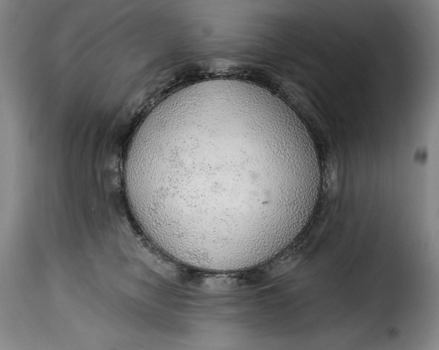 X0000115360470200911241221