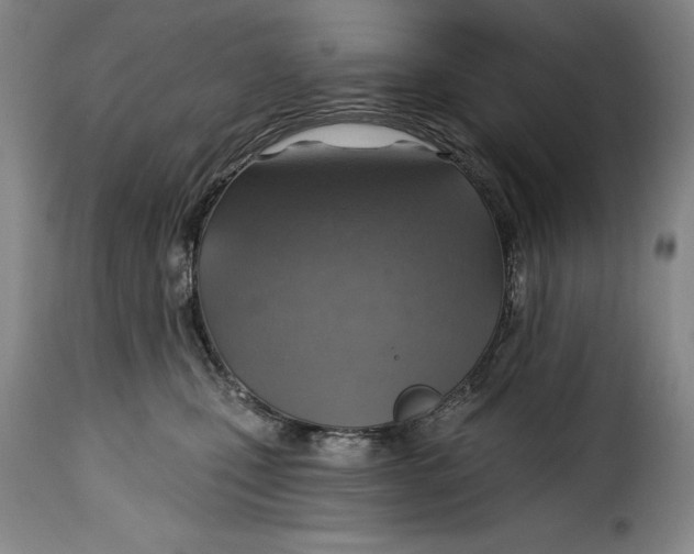 X0000115360471200911241221