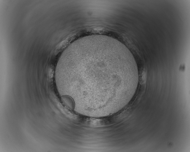 X0000115360472200911241221
