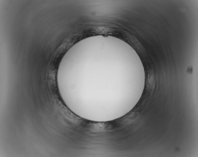 X0000115360473200911241221