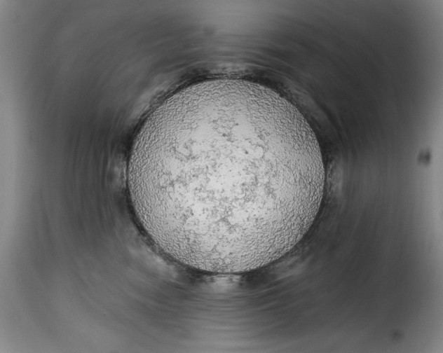 X0000115360474200911241221