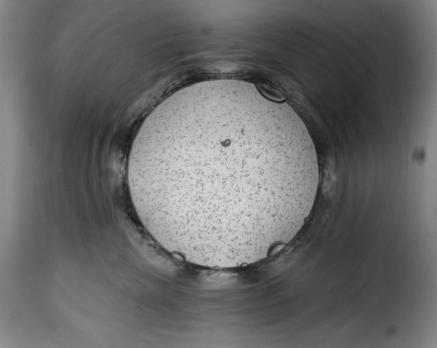 X0000115360476200911241221