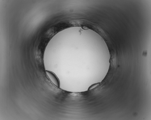 X0000115360477200911241221