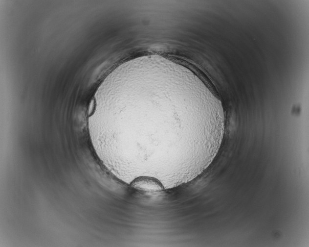 X0000115360478200911241221