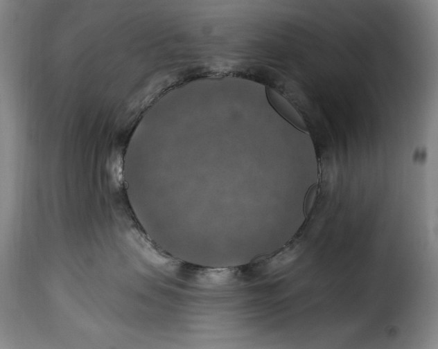 X0000115360479200911241221