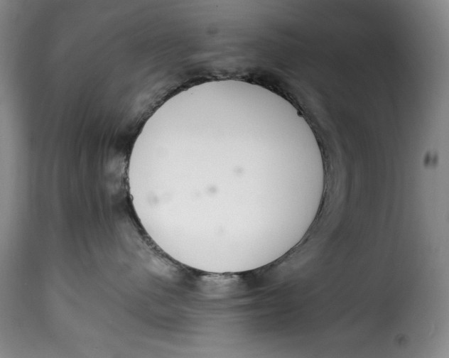 X0000115360480200911241221