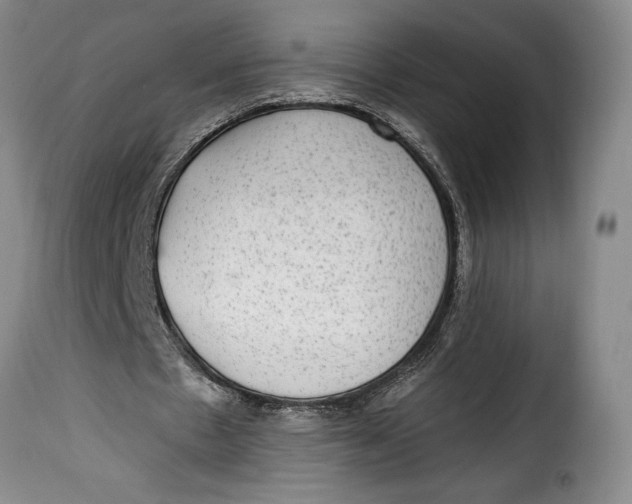 X0000115360481200911241220
