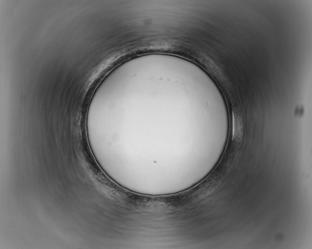 X0000115360483200911241220
