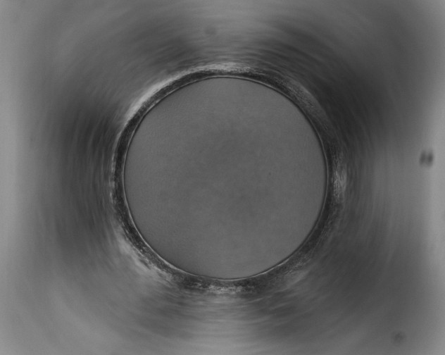 X0000115360484200911241220