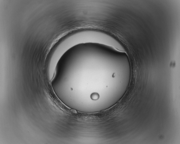 X0000115360488200911241220