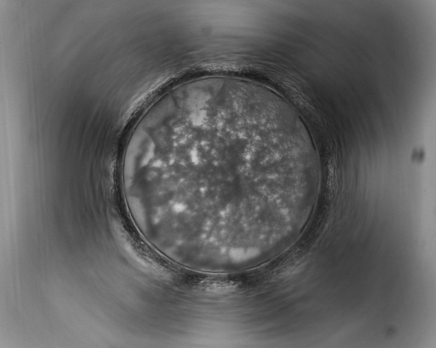 X0000115360491200911241220