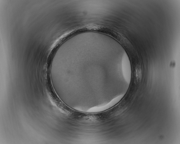 X0000115360492200911241220