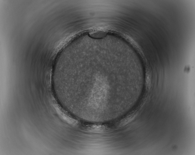 X0000115360493200911241220