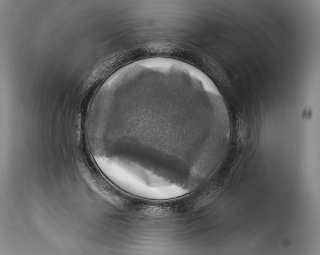 X0000115360494200911241220