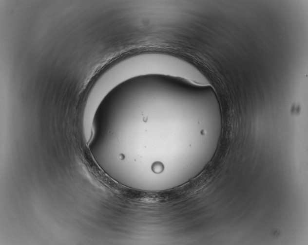 X0000115360496200911241220