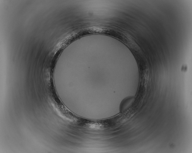 X0000115360500200911241220
