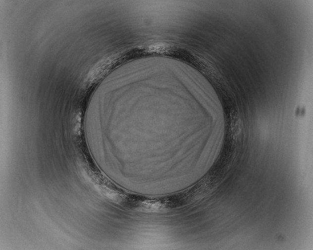 X0000115360502200911241220