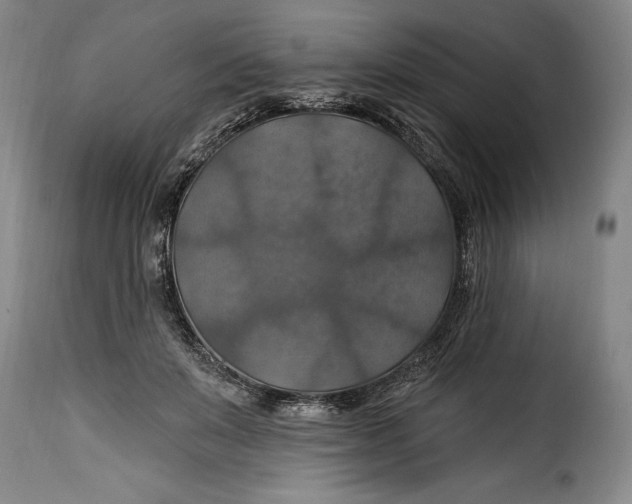 X0000115360503200911241220