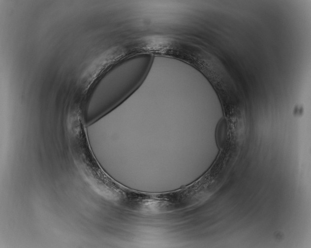X0000115360504200911241220