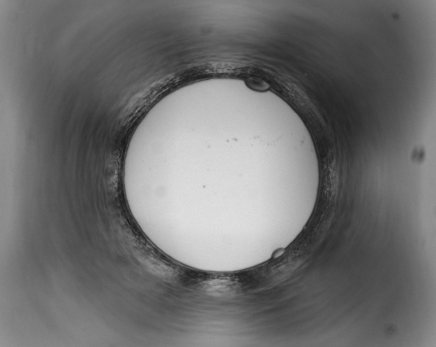 X0000115360505200911241220