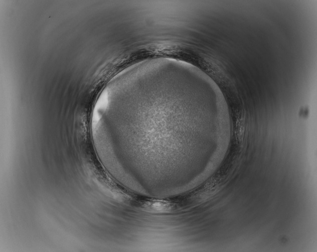 X0000115360506200911241220