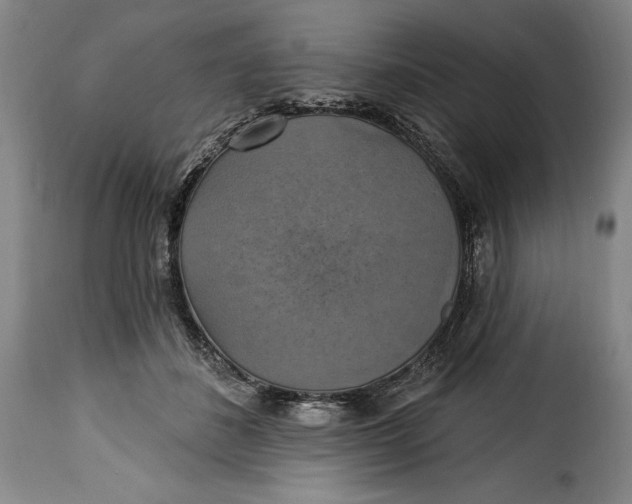 X0000115360508200911241220