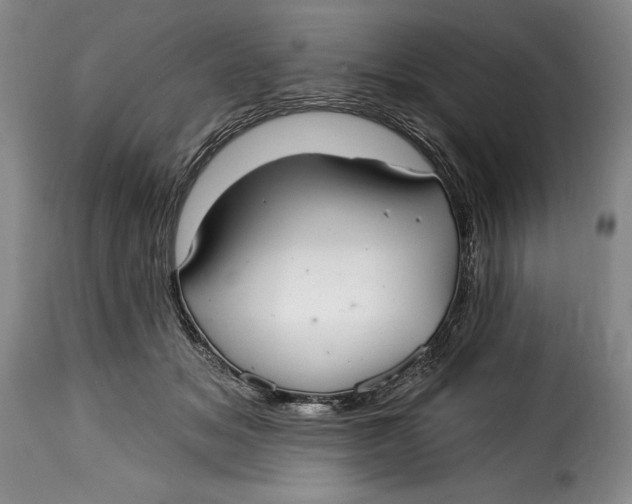 X0000115360509200911241220