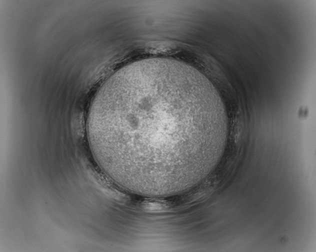 X0000115360510200911241220