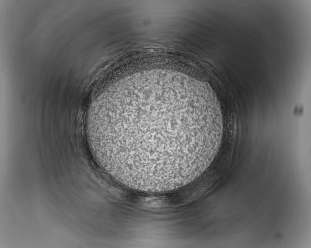 X0000115360511200911241220