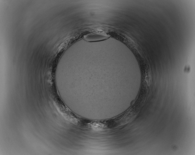 X0000115360512200911241220