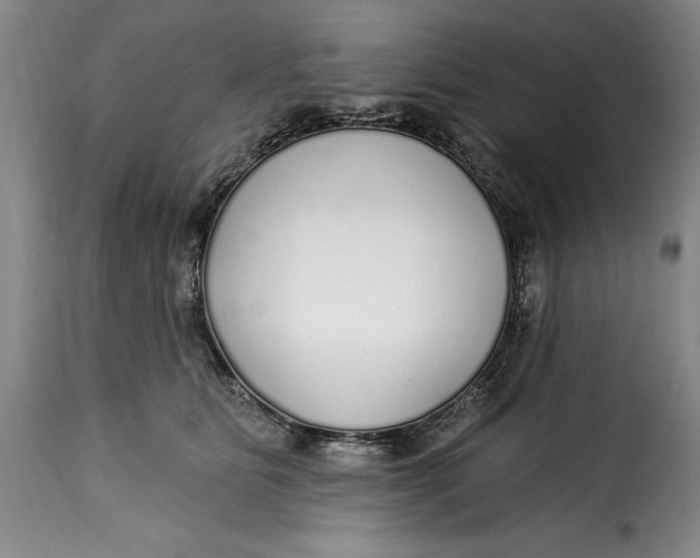 X0000115360515200911241220