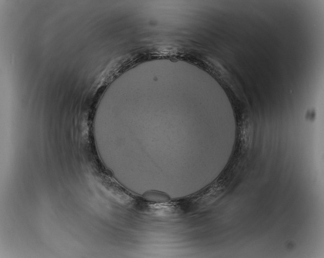 X0000115360516200911241220