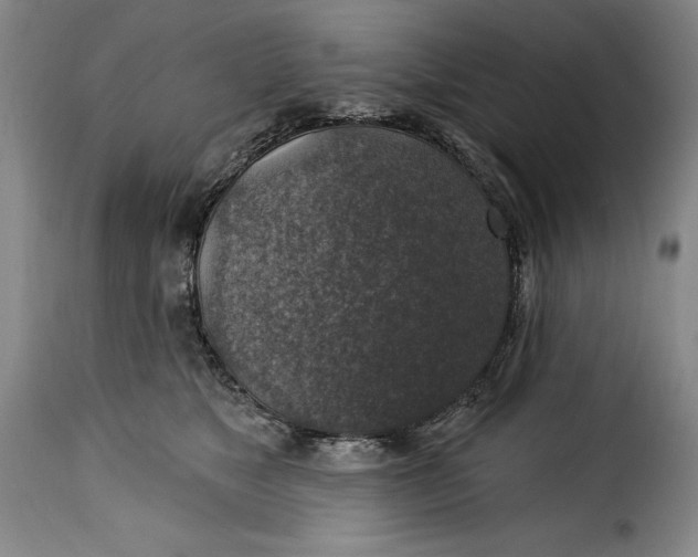 X0000115360517200911241220