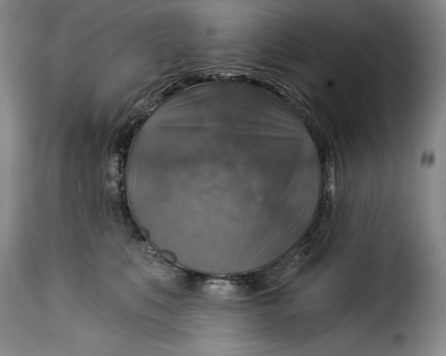 X0000115360519200911241220